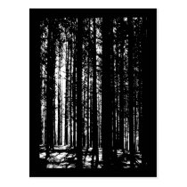 pine forest postcards