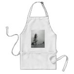 Pine in snow apron