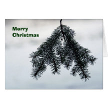Pine-in-snow card