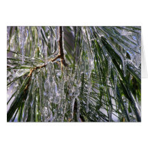 Pine Needle Sparkle 2 Greeting Cards