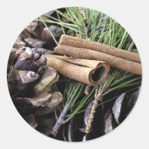 Pine Needles and Cinnamon Round Sticker