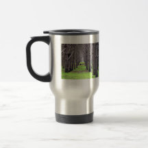 Pine plantation covered by grass coffee mugs