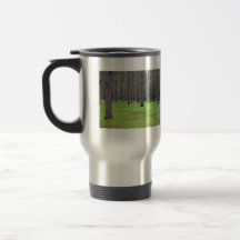 Pine plantation covered by grass mug