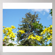 Pine, Sky and Sunflowers Print