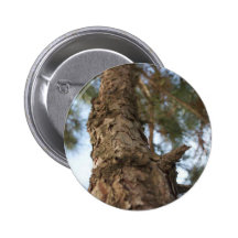 Pine Tree