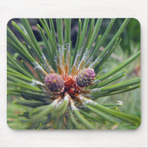 pine tree branch evergreen mousepad