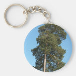 Pine Tree Key Chain