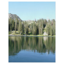pine tree mirror on lake flyer