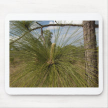 Pine Tree Mouse Mats