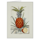 Pineapple Card