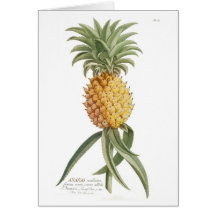 Pineapple Cards