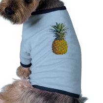 pineapple pet clothes