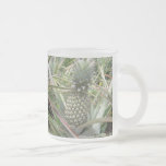Pineapple Juice - Updated Mugs