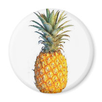 pineapple magnet