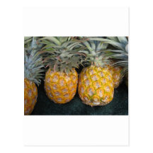 Pineapple Paradise Post Cards