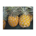 Pineapple Paradise Postcards