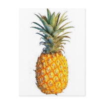 pineapple postcards