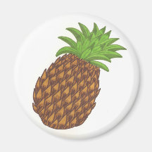 pineapple refrigerator magnets