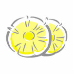 Pineapple Slices Cut Out