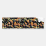Pineapples, Tulum, Mexico Bumper Stickers