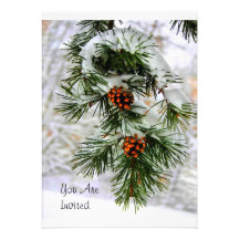 PineCone BranchHD Cards