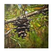 Pinecone Ceramic Tiles