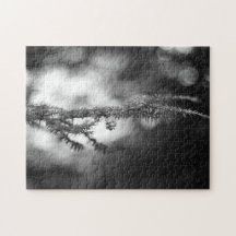 Pinecone in Winter Puzzle