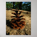 pinecone print