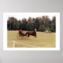 PINEHURST  STYLE  PRINT