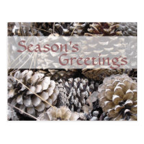Pines Season's Greetings postcards