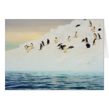 Pingouins sur la glace, carte de voeux