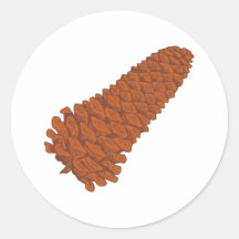 Pinienzapfen pine cone runder aufkleber