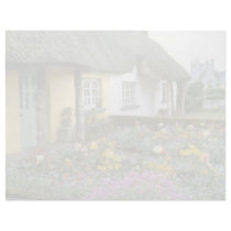 Pink Adare, Limerick flowers Custom Letterhead