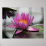 Pink Amazon Water Lily (Lotus) Canvas Print