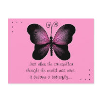 Pink and Black Butterfly Quote Post Card