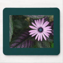 Pink and Blue Mouse Pads