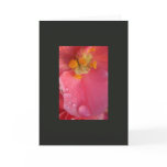 Pink and Dew (Blank Photo Card)