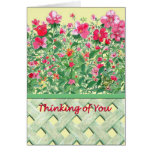 Pink and Green Flower Border Thinking