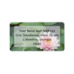 Pink and Green Lily Pad Pretty Photograph labels
