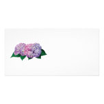 Pink and Lavender Hydrangea Photo Card