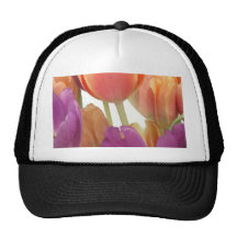 Pink and Lavender Tulips Hat