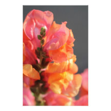 Pink and orange tropical flowers custom stationery