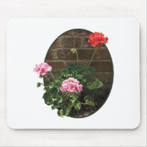 Pink and Red Geraniums Against Brick