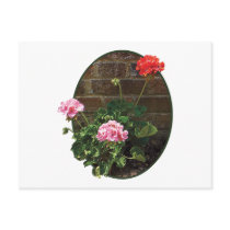 Pink and Red Geraniums Against Brick