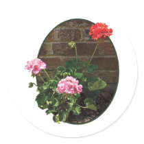 Pink and Red Geraniums Against Brick