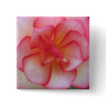 Pink and White Begonia Button