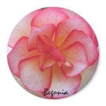 Pink and White Begonia Magnet