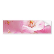 Pink and White detail blosso Bumper Sticker
