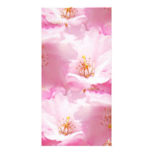 Pink and White detail blosso Photo Card