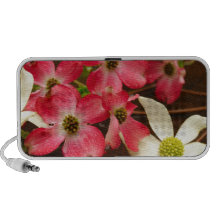Pink And White Dogwood Flowers Speakers